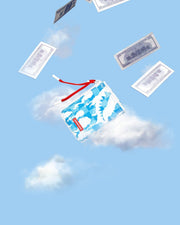 SKYBORNE WALLET